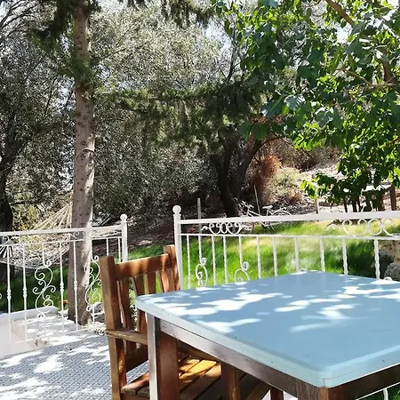 7 Bed and breakfast *