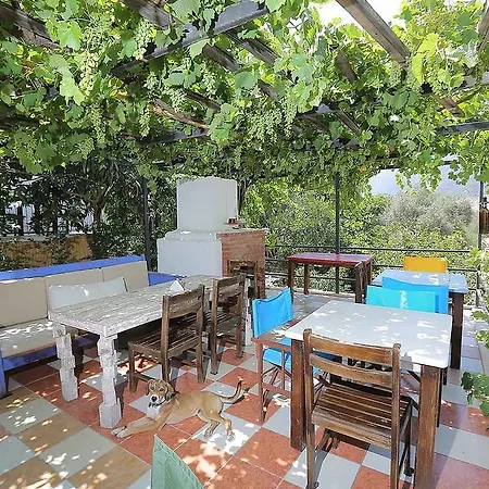Bed and breakfast 7 *